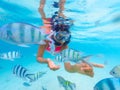 snorkeling trip at Samaesan Thailand dive underwater with fishes in the coral reef sea pool Royalty Free Stock Photo