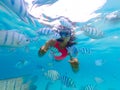 snorkeling trip at Samaesan Thailand dive underwater with fishes in the coral reef sea pool Royalty Free Stock Photo