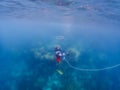 snorkeling trip at Samaesan Thailand dive underwater with fishes in the coral reef sea pool Royalty Free Stock Photo