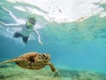 Snorkeling with turtle