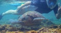 Snorkeling woman and sea turtle. Tourist activity snorkeling with turtles. Marine tortoise underwater photo Royalty Free Stock Photo