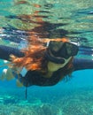 Snorkeling woman in water. Loose hair pretty girl swimming in the sea. Royalty Free Stock Photo