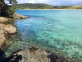 Snorkeller in Matai Bay near Mangonui, Northland, New Zealand Royalty Free Stock Photo