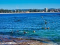 Snorkelling at Shelley Beach, Manly,Sydney, Australia Royalty Free Stock Photo