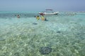 Snorkelling and stingrays Belize Royalty Free Stock Photo