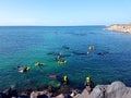 Snorkelling Tours, Whyalla Cuttlefish Migration