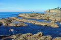 Snorkling near Crescent bay, Laguna Beach, California.