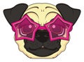 Snout of pug in pink sunglasses