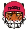 Tiger and helmet