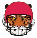 Tiger and helmet