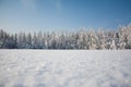 Snovy forest Royalty Free Stock Photo