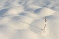 Snow. An abstract winter background.