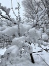 Snow accumulating on a wood deck during Noreaster