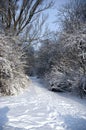 Snow alley Royalty Free Stock Photo