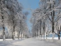 The snow alley of the city park with illumination at night after heavy snowfall. Winter city landscape. Fluffy snow. Royalty Free Stock Photo