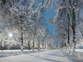 The snow alley of the city park with illumination at night after heavy snowfall. Winter city landscape. Fluffy snow. Royalty Free Stock Photo