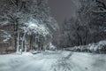 The snow alley of the city park with illumination at night after heavy snowfall. Winter city landscape. Fluffy snow. Royalty Free Stock Photo