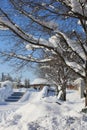 Snow alley Royalty Free Stock Photo