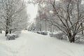 Snow alley in winter Royalty Free Stock Photo