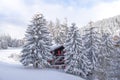 Snow in the Alps