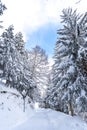 Snow in the Alps