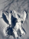 Snow Angel