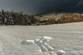 Snow angel in the fresh snow. Trace from the human adult body in winter landscape.Print of body copy space.Crime scene