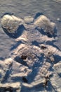 Snow Angels Royalty Free Stock Photo