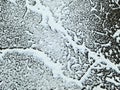 Snow on asphalt on a small german road Royalty Free Stock Photo