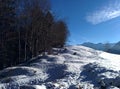 Snow on an Austrian Mountain