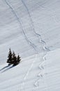 Snow background with ski and snowboard tracks