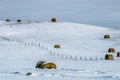 Hay bales in a snowy field, cowboy Trail, Alberta, Canada Royalty Free Stock Photo