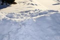 Snow bank- white texture of real snow for winter back grounds Royalty Free Stock Photo