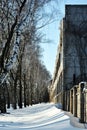 Snow between barbed wire fence near brick building and line of birch trees, winter sunny landscape Royalty Free Stock Photo