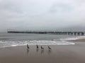 Snow at Beach at Coney Island in January in Brooklyn, New York, NY.