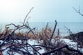Snow on a beach and dunes - winter time Royalty Free Stock Photo