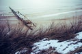 Snow on a beach and dunes - winter time Royalty Free Stock Photo