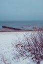 Snow on a beach and dunes - winter time Royalty Free Stock Photo