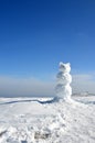 Snow bear and blue sky