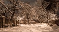 Snow beautiful winter night on the countryside. Street view with snow on trees Royalty Free Stock Photo