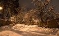 Snow beautiful winter night on the countryside. Street view with snow on trees