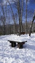 Snow and bench in the walkway forest Noboribetsu onsen Royalty Free Stock Photo