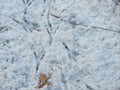 Snow with bird tracks