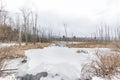 Snow on Black Swamp Creek