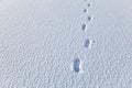 Snow blanket with footsteps