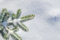 Snow blanketed pine branch Royalty Free Stock Photo