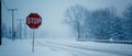Snow Blanketed Stop: A Frozen Intersection - AR