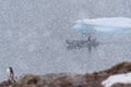 Snow blizzard on Danco Island, looking out at inflatable raft cruising between island and icebergs, Antarctica