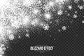 Snow Blizzard Effect on Transparent Background Vector