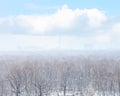 Snow blizzard over city and woods in spring Royalty Free Stock Photo